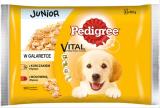 PEDIGREE JUNIOR ΠΟΥΛΕΡΙΚΑ ΜΟΣΧΑΡΙ & ΣΥΚΩΤΙ ΜΕ ΡΥΖΙ 6x100gr