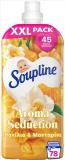 SOUPLINE ΜΑΛΑΚΤΙΚΟ ΣΥΜΠΥΚΝΩΜΕΝΟ 78ΜΕΖ 1638ML ΒΑΝΙΛΙΑ & ΜΑΝΤΑΡΙΝΙ
